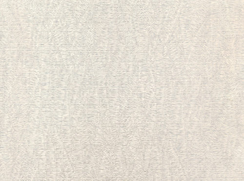 Chevra  Oyster W404-02